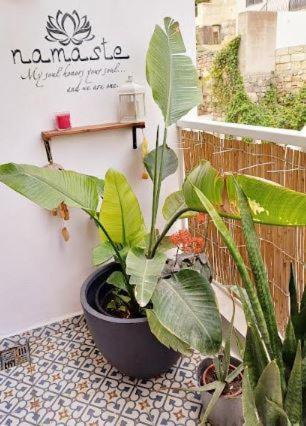 Namaste :) Enjoy Every Moment Mellieħa Exterior foto